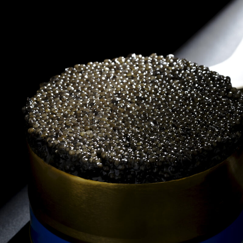 image-Caviar...